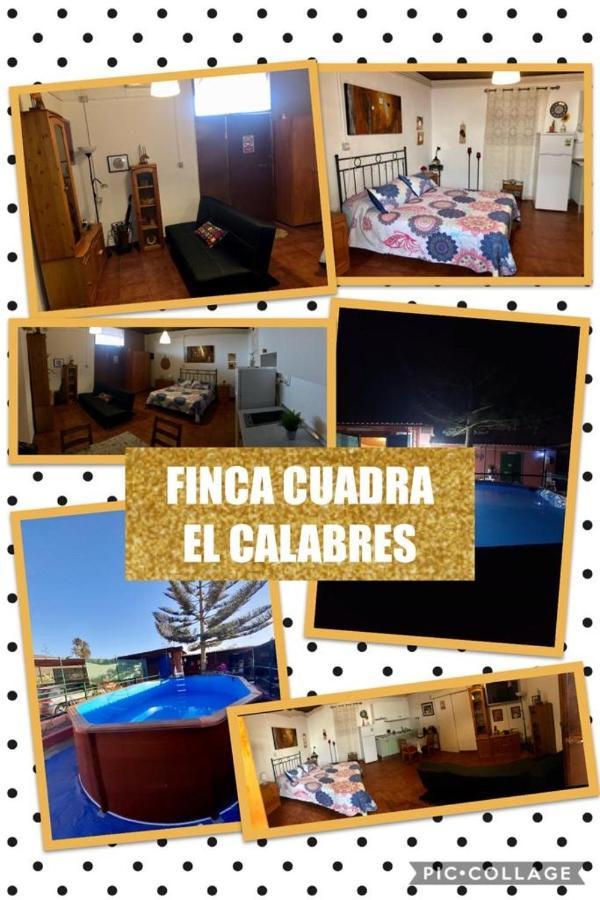 La Cuadra Finca El Calabres Aguimes Luaran gambar